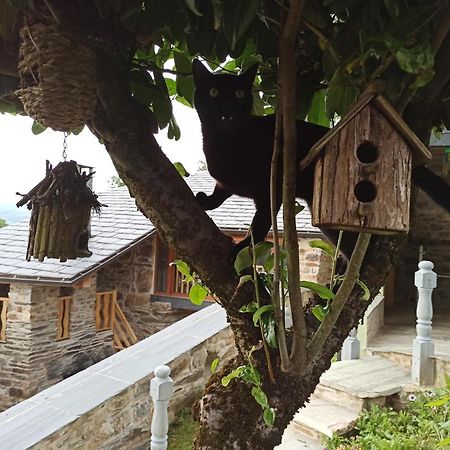 Casa Do Bico Villa Becerrea ภายนอก รูปภาพ